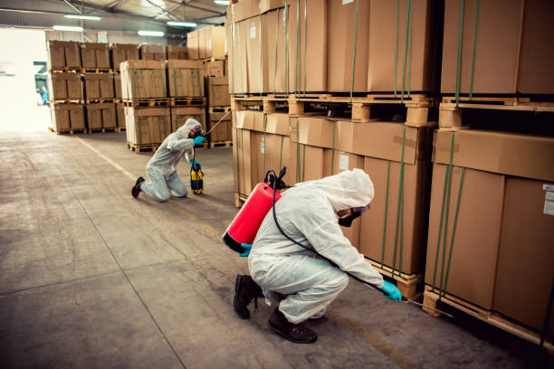 Best Pest Control Near Me in West Easton, PA